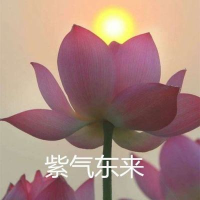 莽荒传奇手游果盘版下载